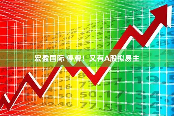 宏盈国际 停牌！又有A股拟易主