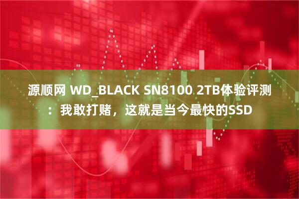 源顺网 WD_BLACK SN8100 2TB体验评测：我敢打赌，这就是当今最快的SSD