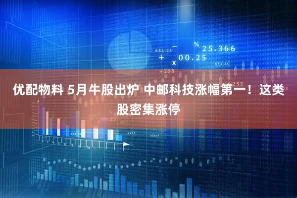 优配物料 5月牛股出炉 中邮科技涨幅第一！这类股密集涨停