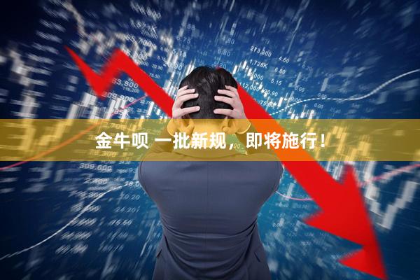 金牛呗 一批新规，即将施行！