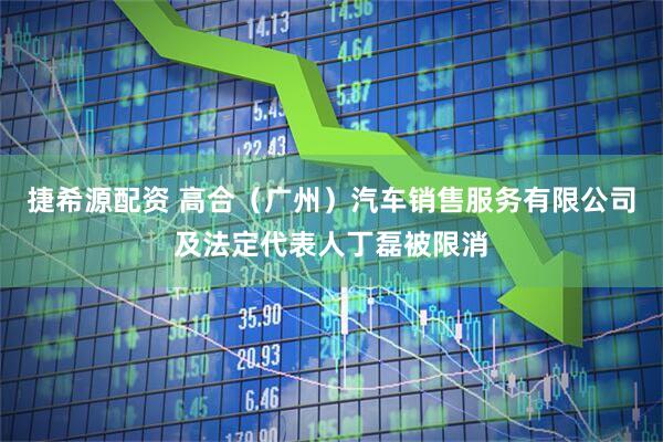 捷希源配资 高合（广州）汽车销售服务有限公司及法定代表人丁磊被限消