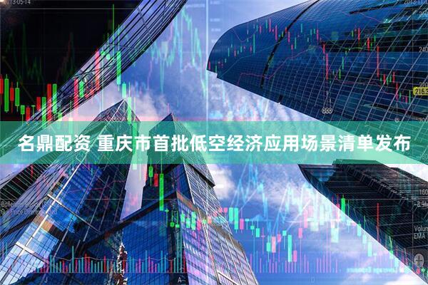 名鼎配资 重庆市首批低空经济应用场景清单发布