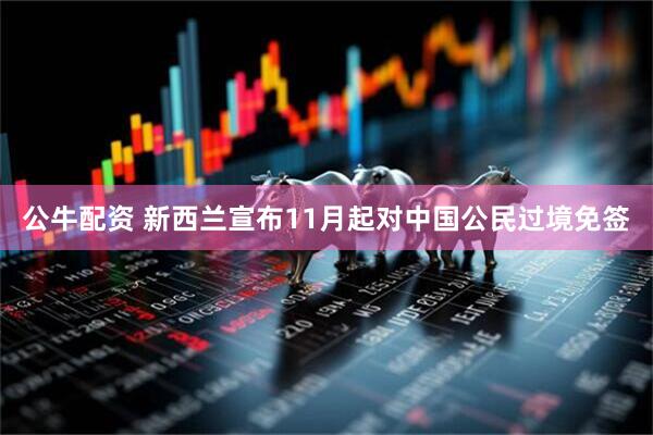 公牛配资 新西兰宣布11月起对中国公民过境免签