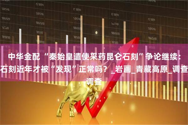 中华金配 “秦始皇遣使采药昆仑石刻”争论继续：石刻近年才被“发现”正常吗？_岩画_青藏高原_调查