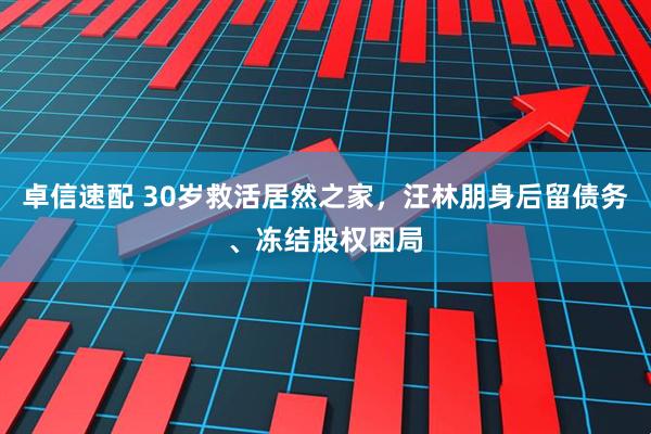 卓信速配 30岁救活居然之家，汪林朋身后留债务、冻结股权困局