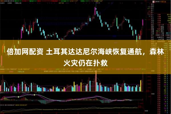 倍加网配资 土耳其达达尼尔海峡恢复通航，森林火灾仍在扑救