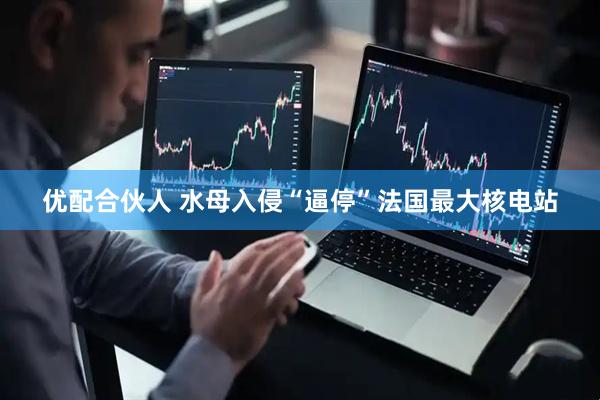 优配合伙人 水母入侵“逼停”法国最大核电站