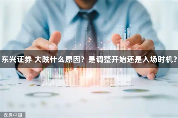 东兴证券 大跌什么原因？是调整开始还是入场时机？