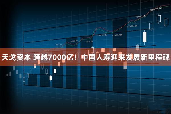 天戈资本 跨越7000亿！中国人寿迎来发展新里程碑